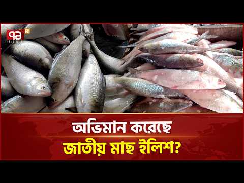 বাংলাদেশের নদী ছেড়ে ইলিশ নতুন ঠিকানা খুঁজে নিয়েছে? | Hilsha | Fish | Ekattor TV