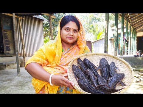 এই প্রথম নদীর এতগুলো সাকার মাছ পেয়ে, নিজ হাতে রান্না করলাম।Sakar maser recipe.our simply cooking.