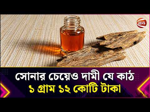 সোনার চেয়েও দামী যে কাঠ, ১ গ্রাম ১২ কোটি টাকা | Precious Tree | Lifestyle 24 | Channel 24