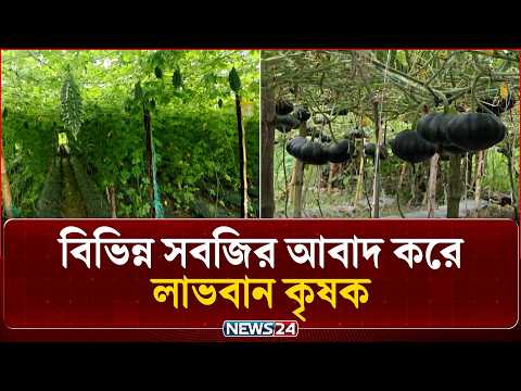 বিভিন্ন সবজির আবাদ করে লাভবান কৃষক | Vegetable Farming | News24