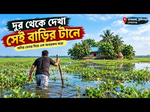 বিলের মাঝে স্বজনহারা এক পরিবার | কীভাবে টিকে আছে এই বাড়ি?