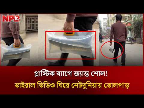 প্লাস্টিক ব্যাগে জ্যান্ত শোল! ভাইরাল ভিডিও ঘিরে নেটদুনিয়ায় তোলপাড় | Live Shoal Fish | NPB News