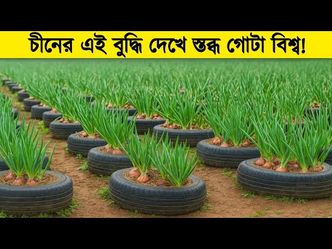 মাটি ছাড়াই চাষাবাদ! চীনের এই বুদ্ধি দেখে গোটা বিশ্ব স্তব্ধ | China Agriculture Technology
